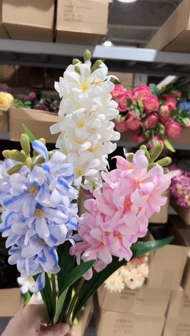 3枝混色手感保湿风信子