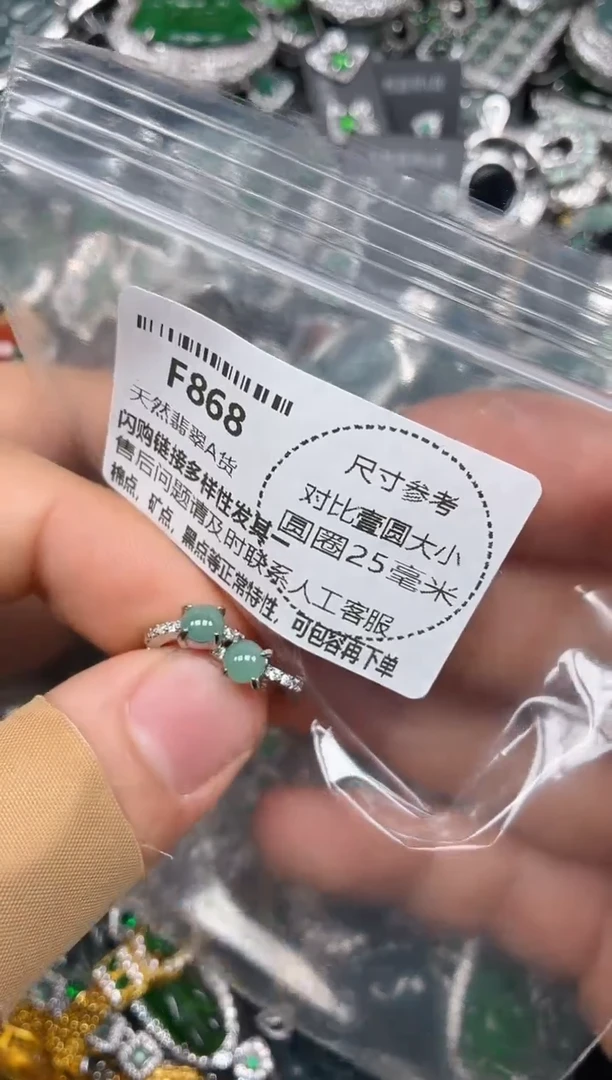 颈饰未镶嵌翡翠F868耳扣