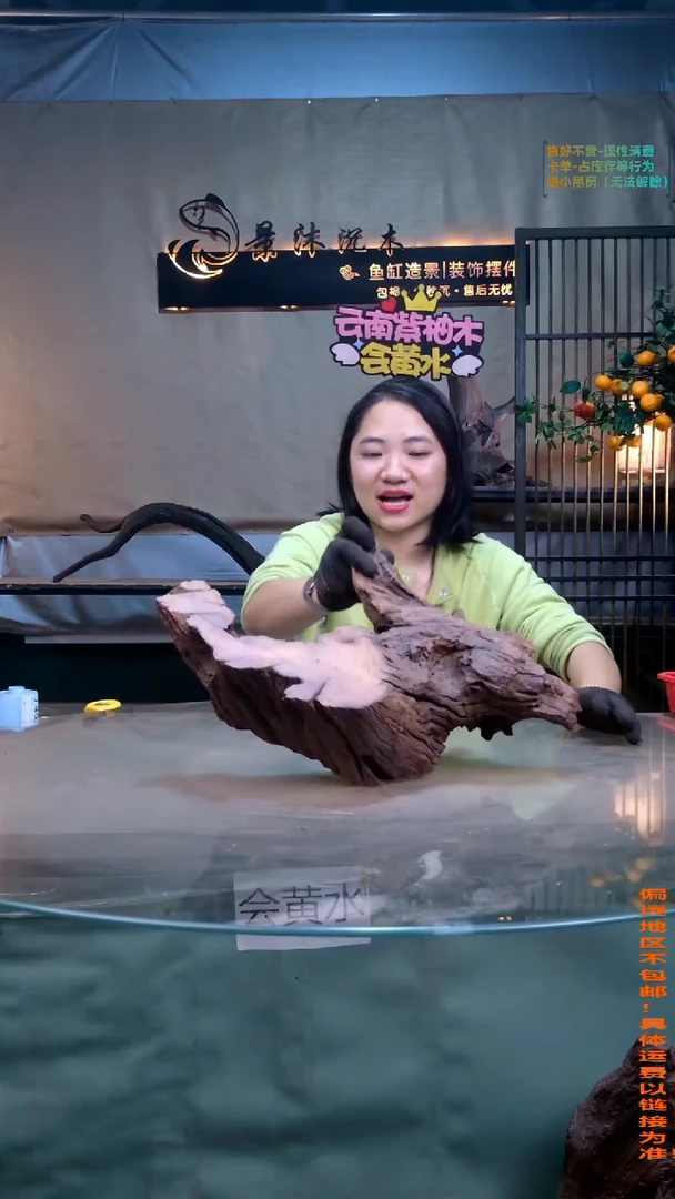 摆件景沐沉木J499 45-12-28