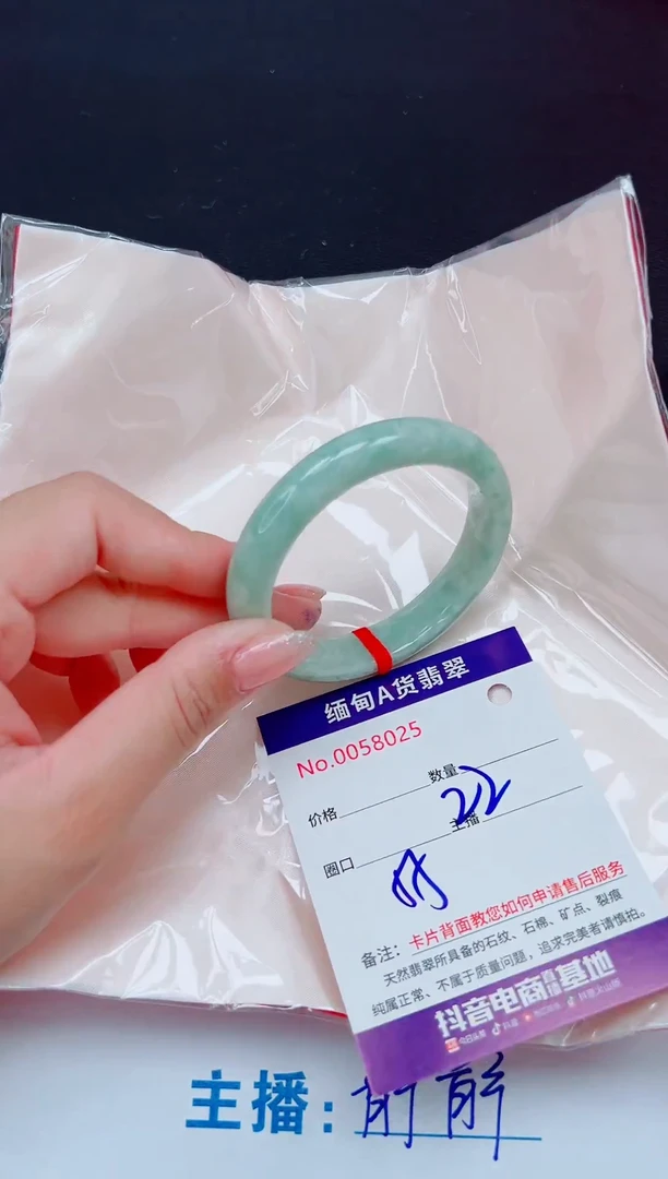 未镶嵌手镯翡翠11111
