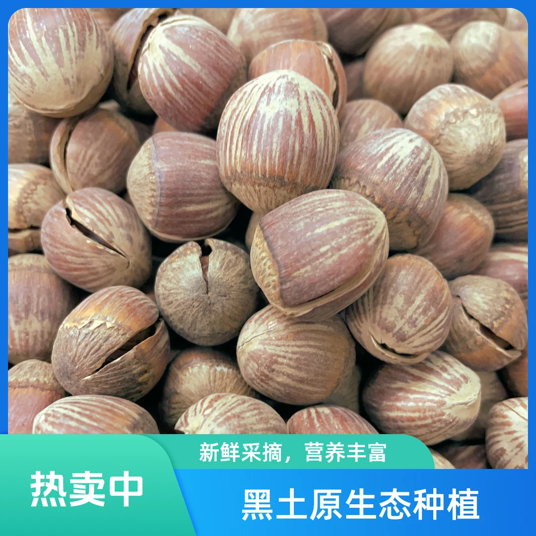 手工开口大榛子哈尔滨东北特产健康零食500g源头山地直发