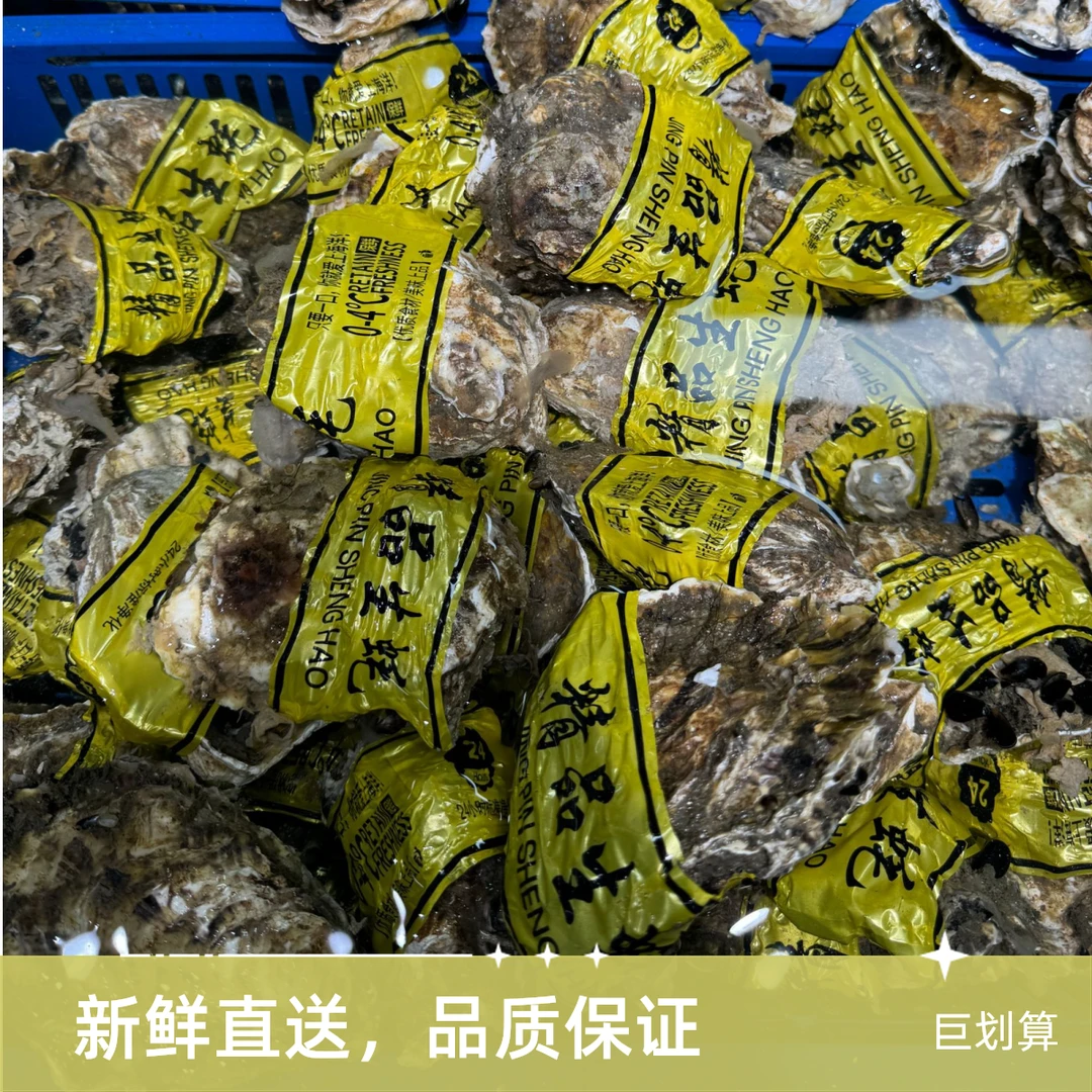 鲜活4+生蚝三个装（550克—620克）