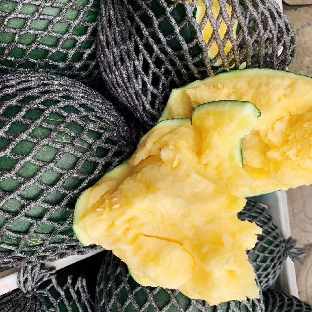 南汇本地黑金黄瓤黑皮西瓜 顺丰包邮西瓜同城配上海市