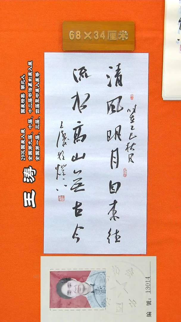 书法36a王涛书法作品