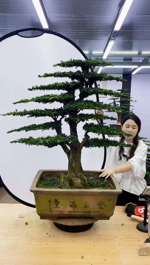 无花朵五**花000000000000000