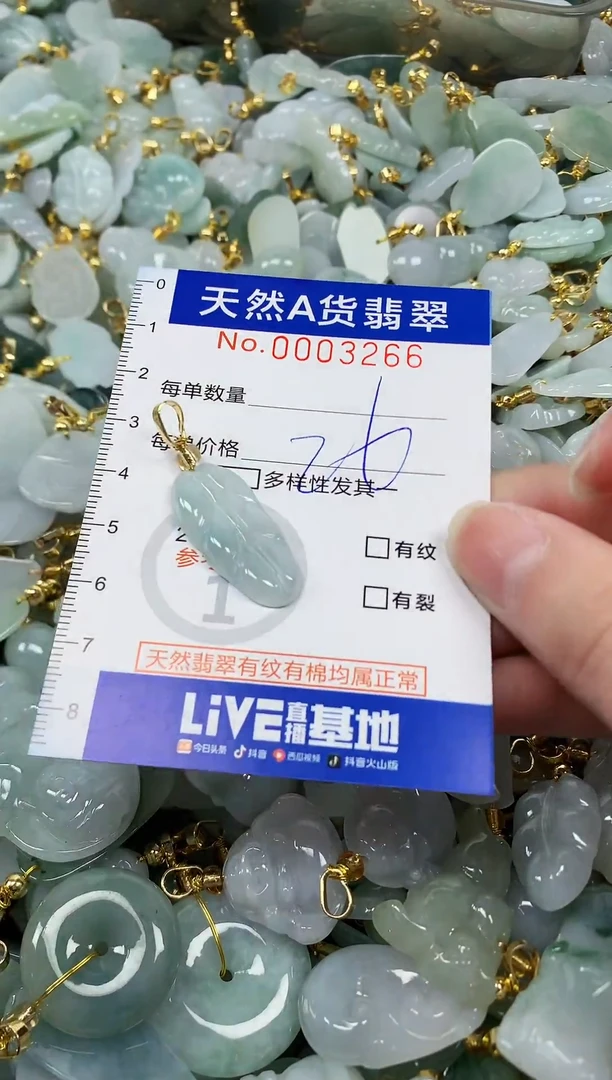 颈饰未镶嵌翡翠纯天然a货翡翠