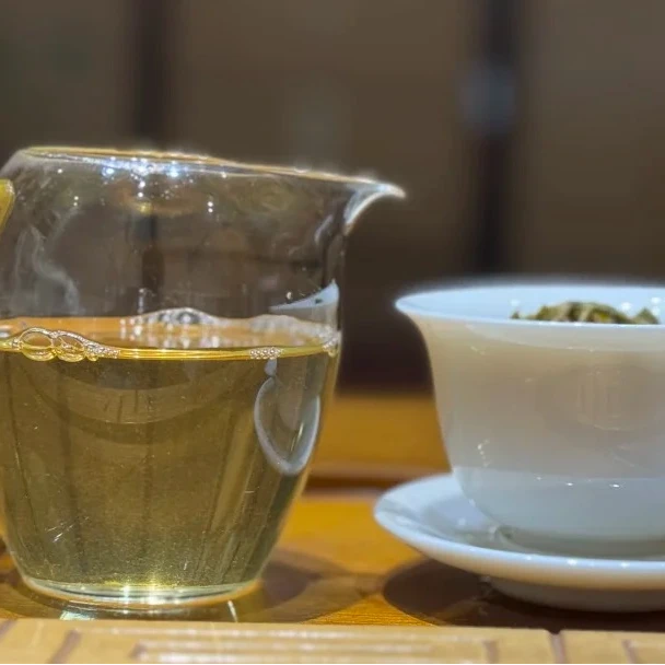 2025年【龙潭寨单株】春茶头采普洱古树生茶（压饼链接）生普洱茶茶叶