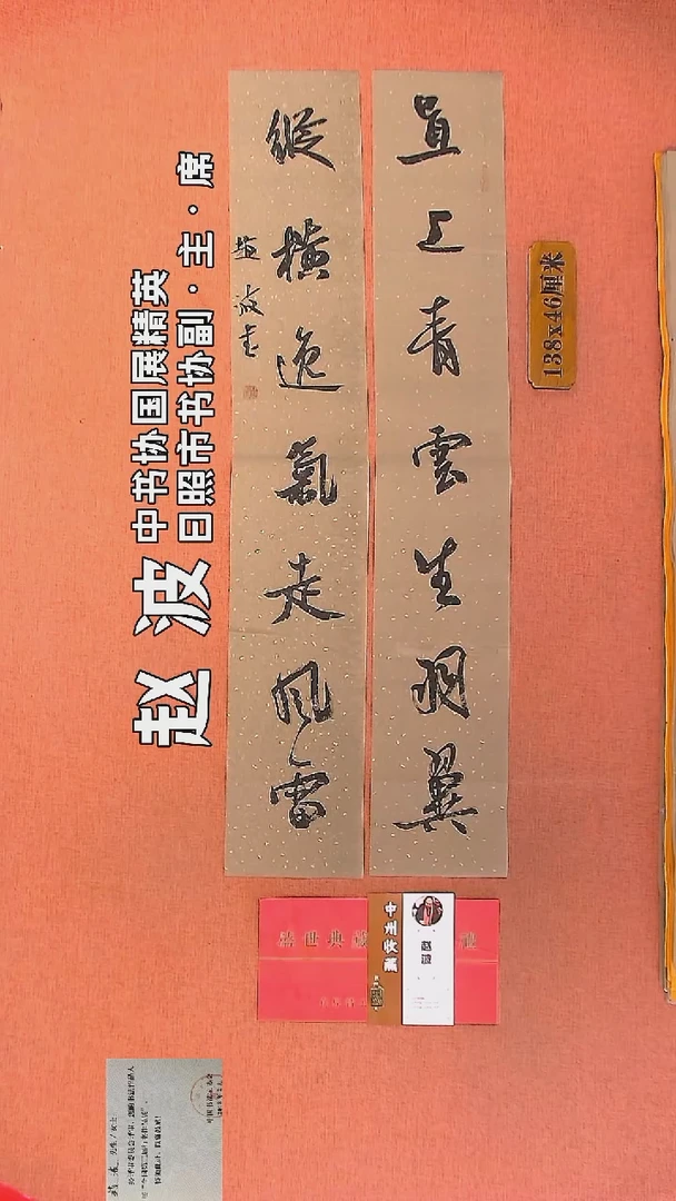 【闪购商品】书法19         赵波老师作品