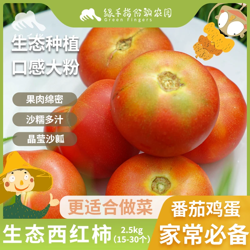 生态西红柿 河南 2.5kg(15-30枚) 绿手指份额农园