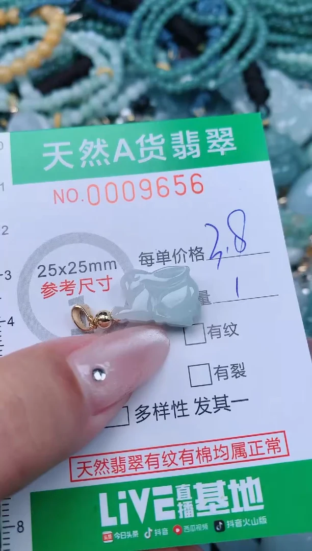 翡翠未镶嵌颈饰.0009656