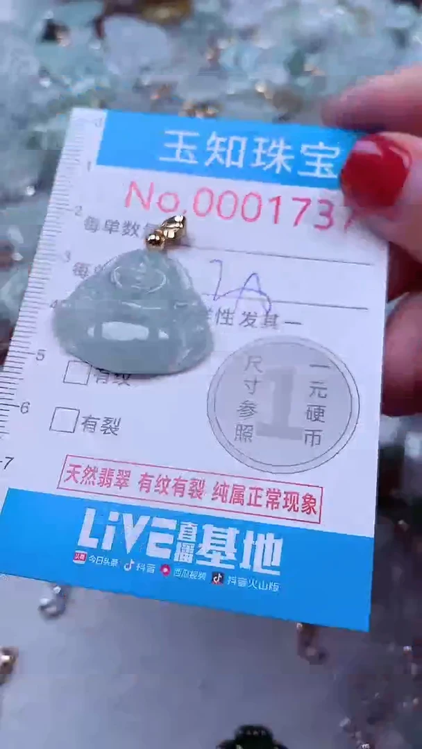 吊坠(不含链)未镶嵌翡翠1737