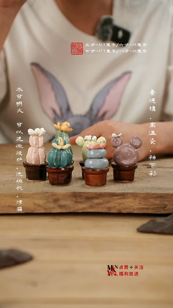 其他仙人掌小摆件一个（随机发）