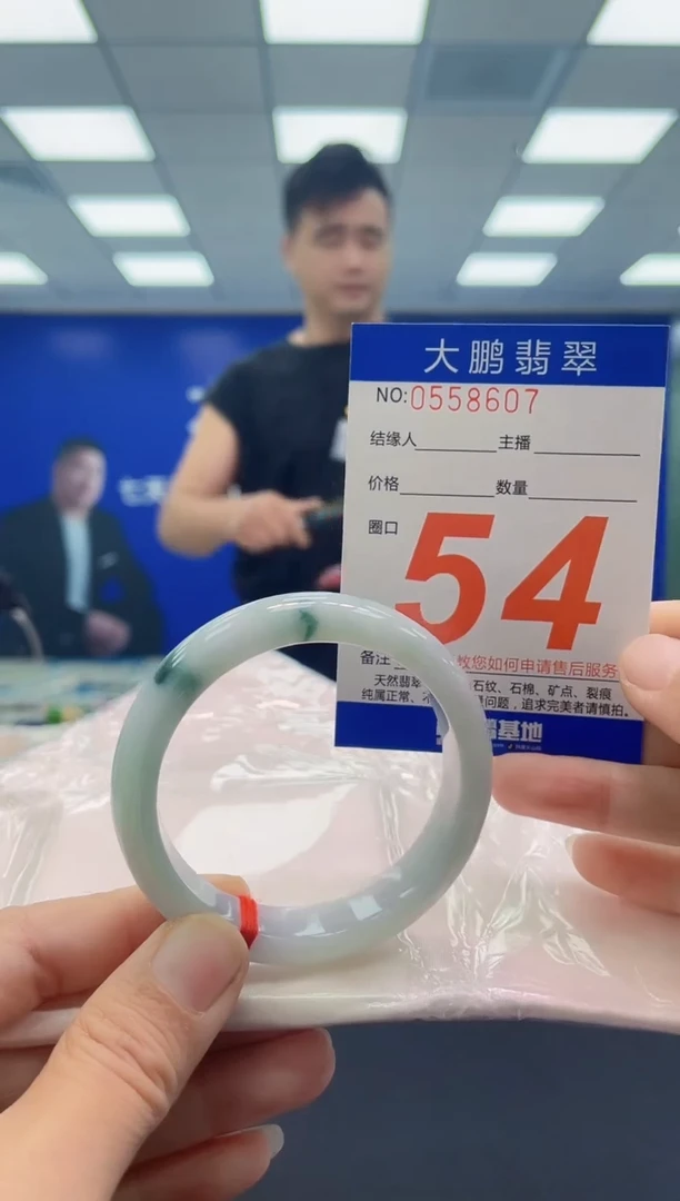 未镶嵌手镯翡翠AAAAAAAAAA