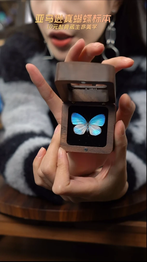 天空蓝优雅灰蝶胡桃木款