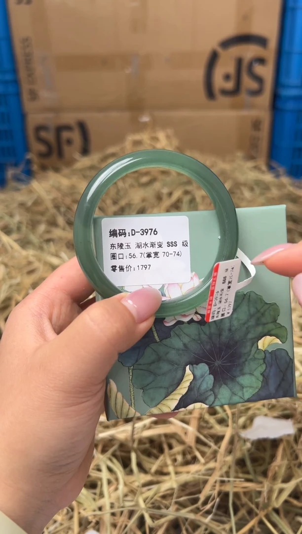 未镶嵌手镯石英质玉D-3976