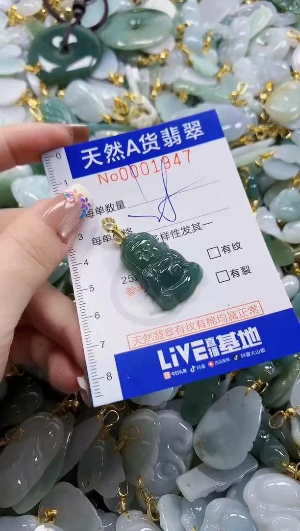 颈饰未镶嵌翡翠天然A货翡翠