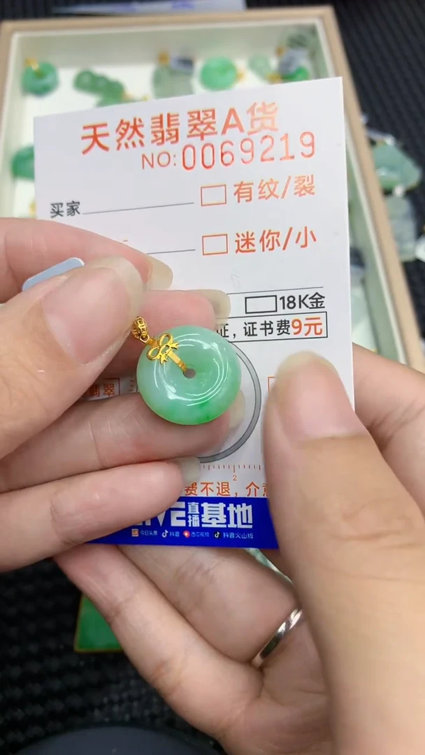 【闪购商品】翡翠颈饰18K金镶嵌            8