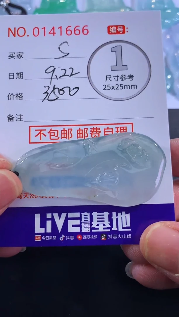 颈饰未镶嵌翡翠S***t！