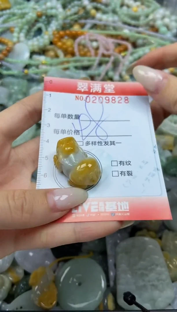 颈饰未镶嵌翡翠闪购0209828