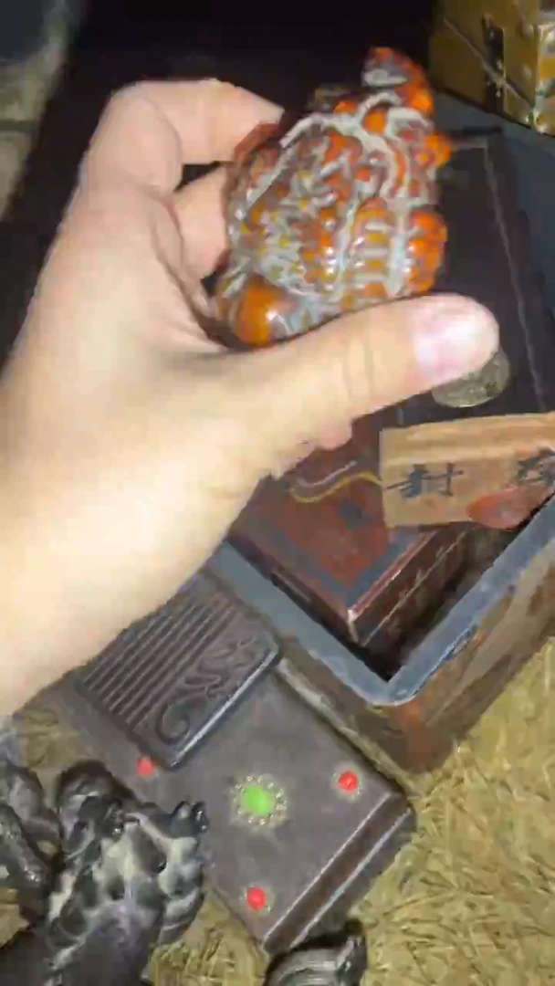 香榧木一一一一一一一一福利
