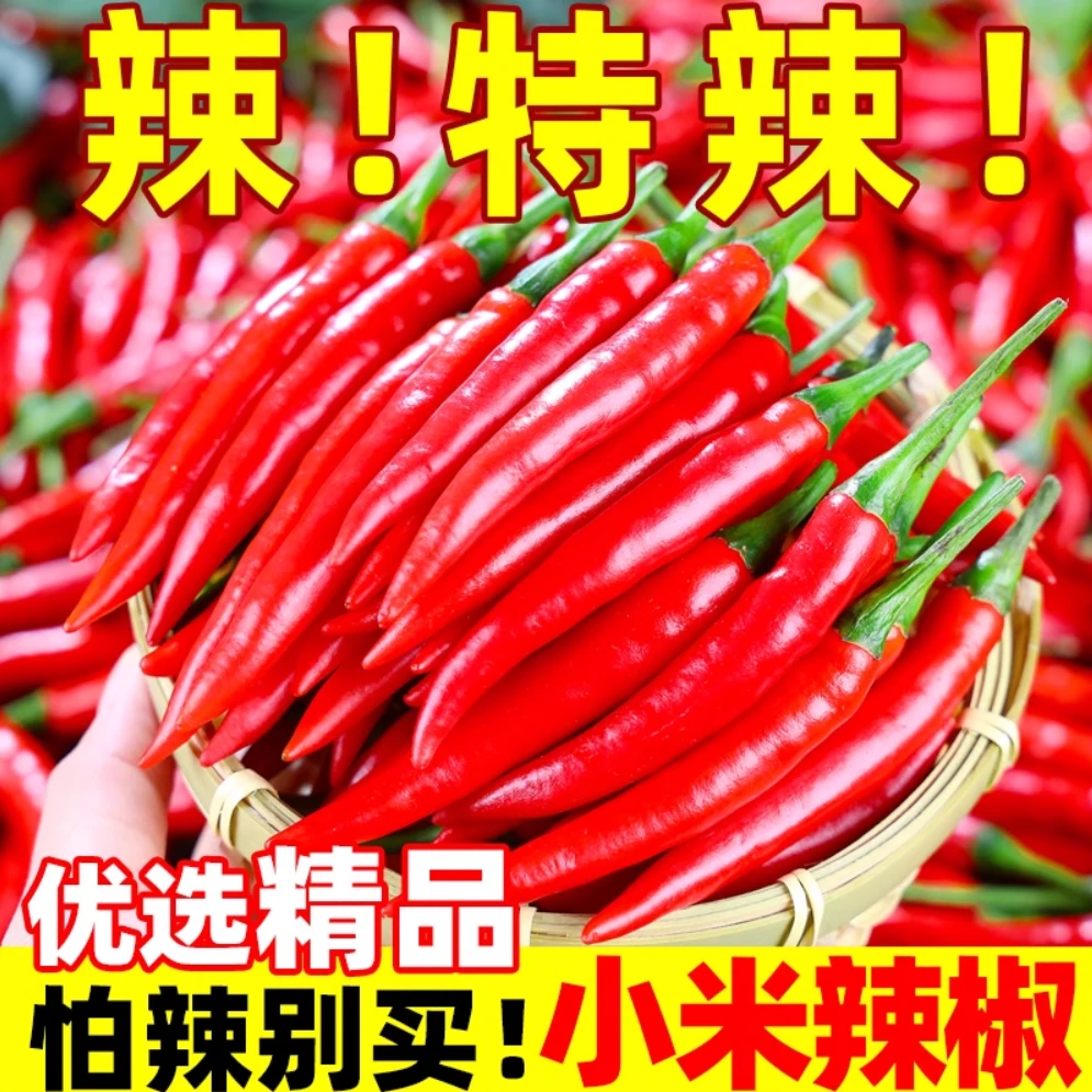 湘西农家小米辣特辣 特辣小米辣
