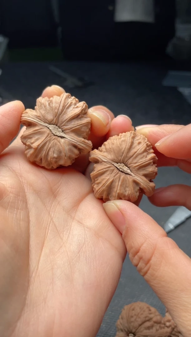 把件文玩核桃w240   白狮子 37尺