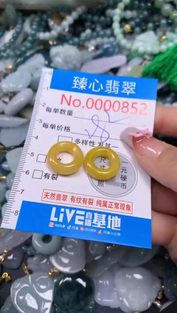 【闪购商品】翡翠颈饰未镶嵌含绳000852