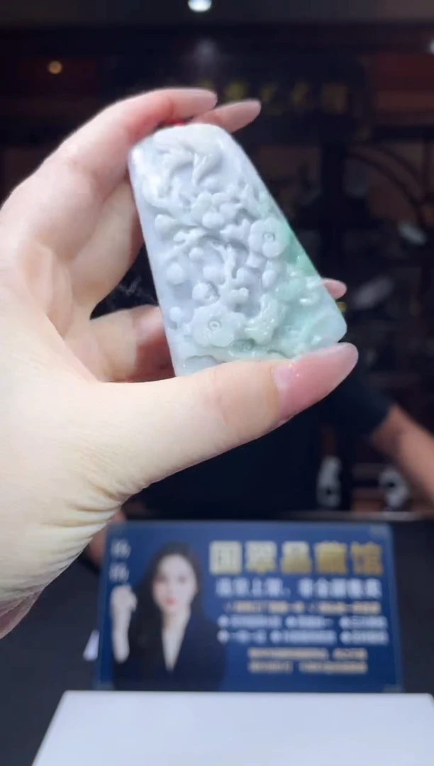 翡翠未镶嵌颈饰Y-@@JHZC70825