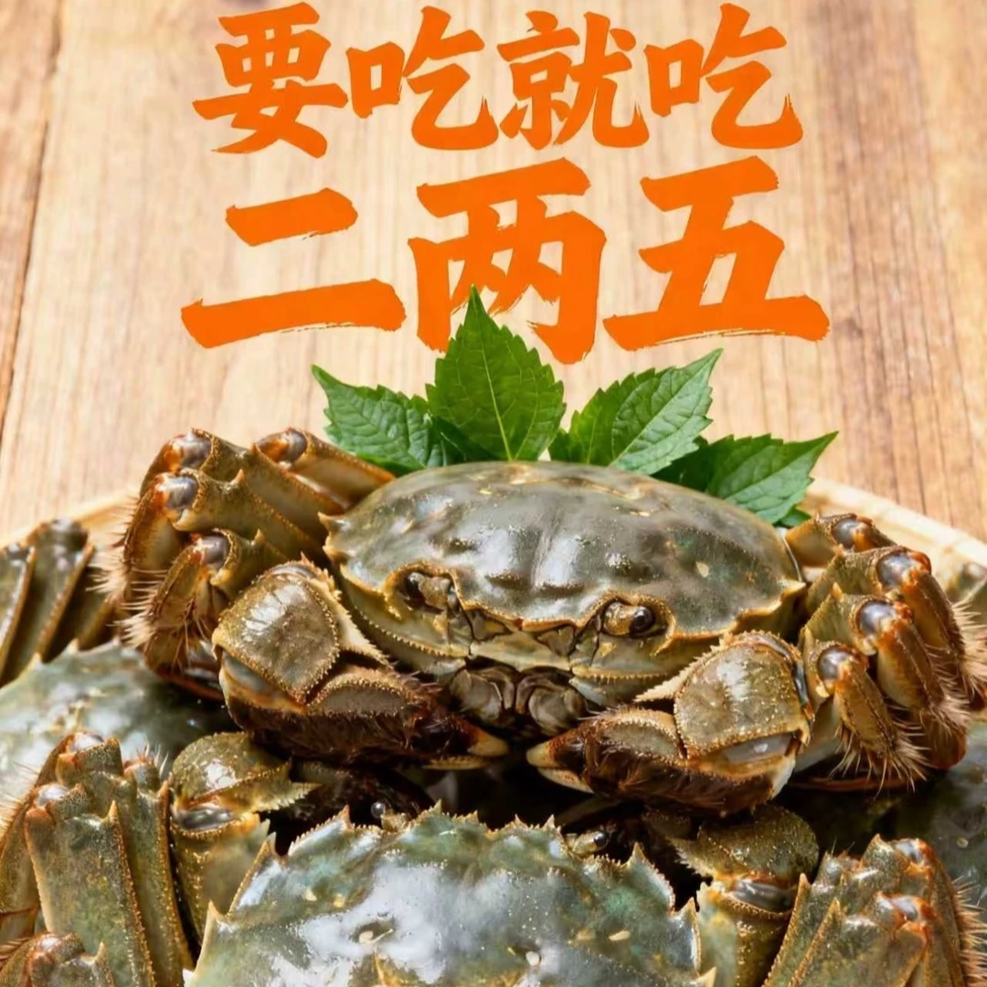 【全母活蟹】 精品大纵湖大闸蟹  2.5母    可选 四只/八只  送货上门