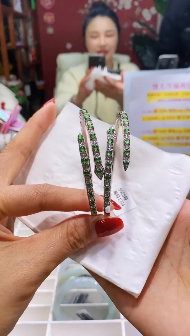 【闪购商品】翡翠手镯银S925镶嵌159蛇镯*多样性发其一