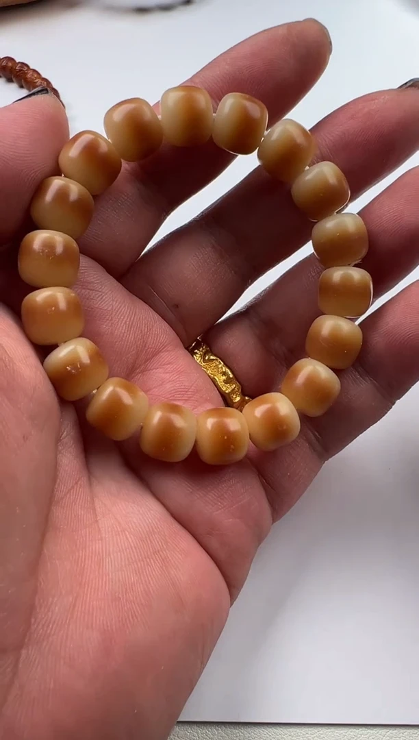 【闪购商品】菩提根/象牙果手串精品菩提根手串