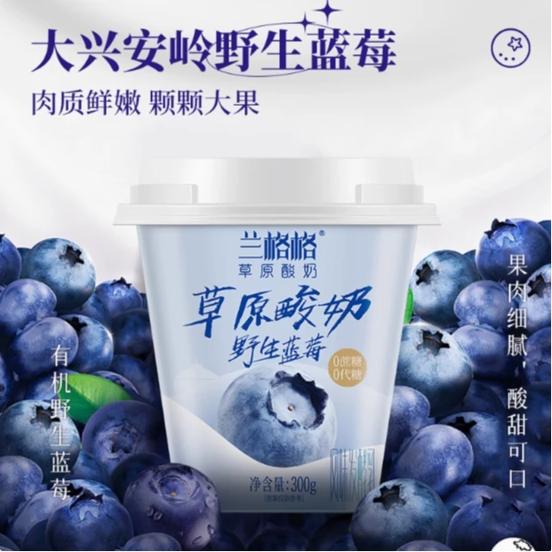兰格格草原酸奶野生蓝莓300g/盒  蓝莓酸奶风味发酵乳