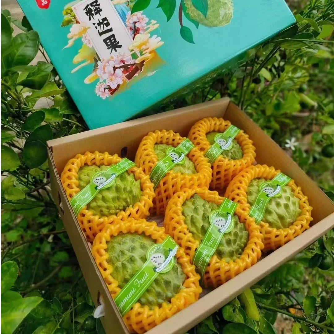 海南释迦果 纯甜奶香