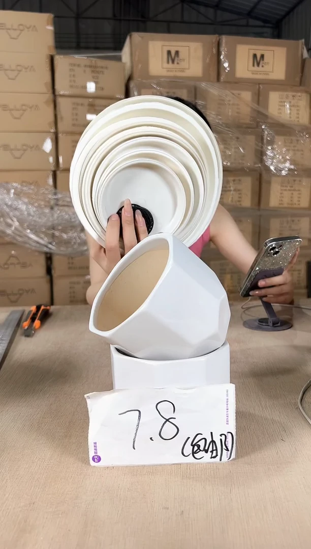 2八角白色小号12x10