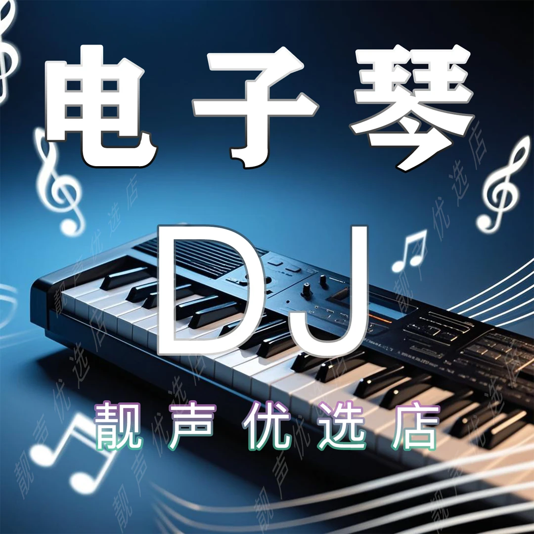 【电子琴DJ】精选2025新款电子琴DJ纯音乐 即插即用