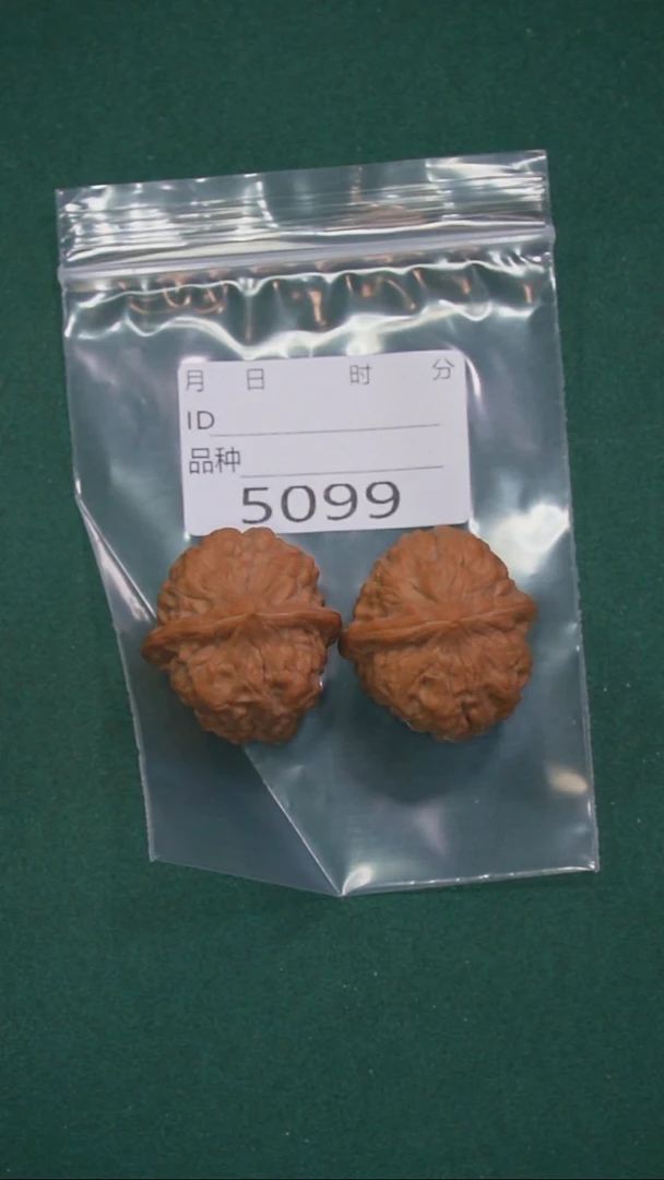 把件文玩核桃森*33铁狮子