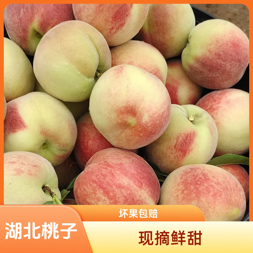 湖北枣阳水蜜桃现摘现发香甜可口，坏果包赔