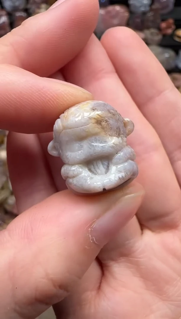 颈饰未镶嵌硅化珊瑚（珊瑚玉）494