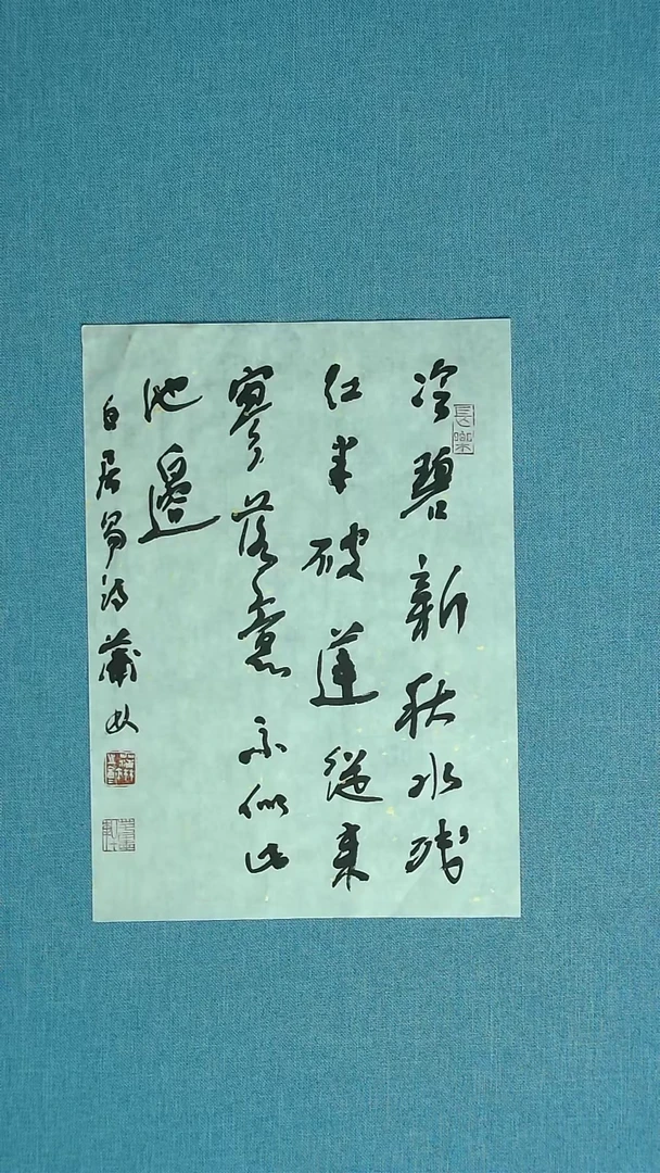 【闪购商品】书法046 甘肃蒲林中书协36*25