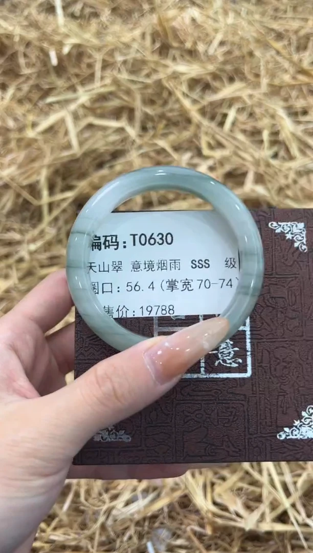 未镶嵌手镯石英质玉T0630