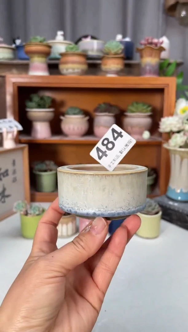 瓷片484小芳直播编号