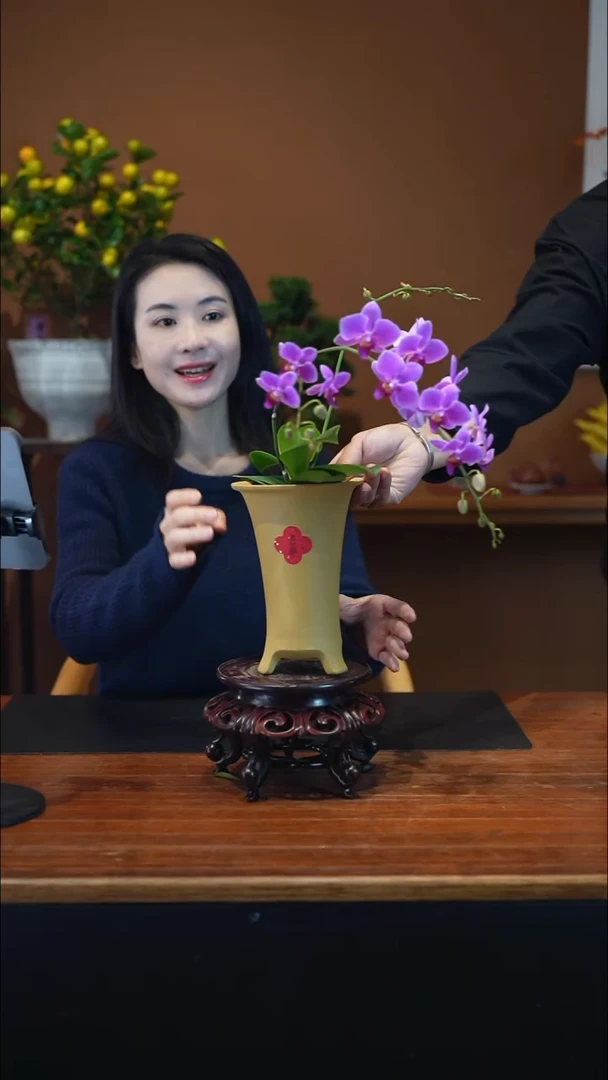 无花朵绘***主粉珠帘盆景盆景盆景