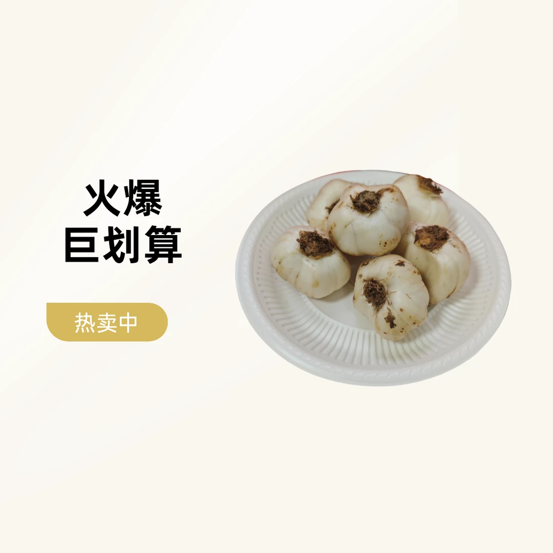 「亿达甄选」中号百合 2500g装