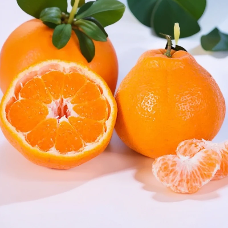 春见耙耙柑新鲜水果橘子精品大果礼盒装粑粑柑包邮