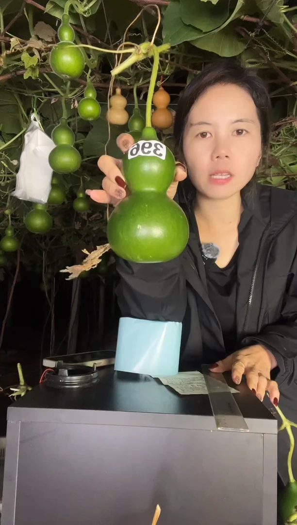 繁*396天然葫芦摆件 一物一拍龙头不保售后