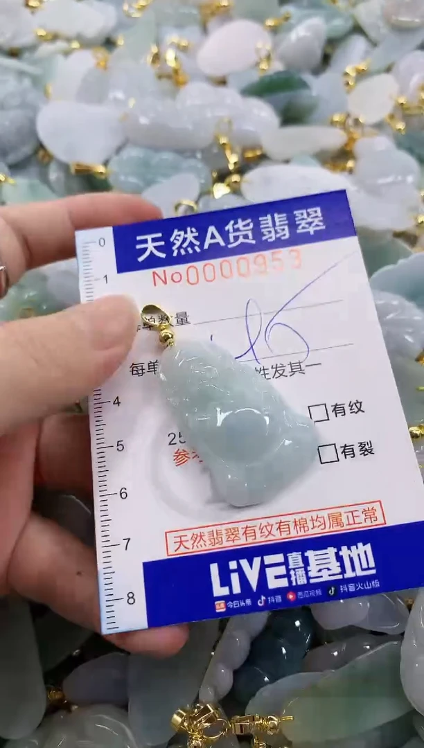 颈饰未镶嵌翡翠天然A货翡翠
