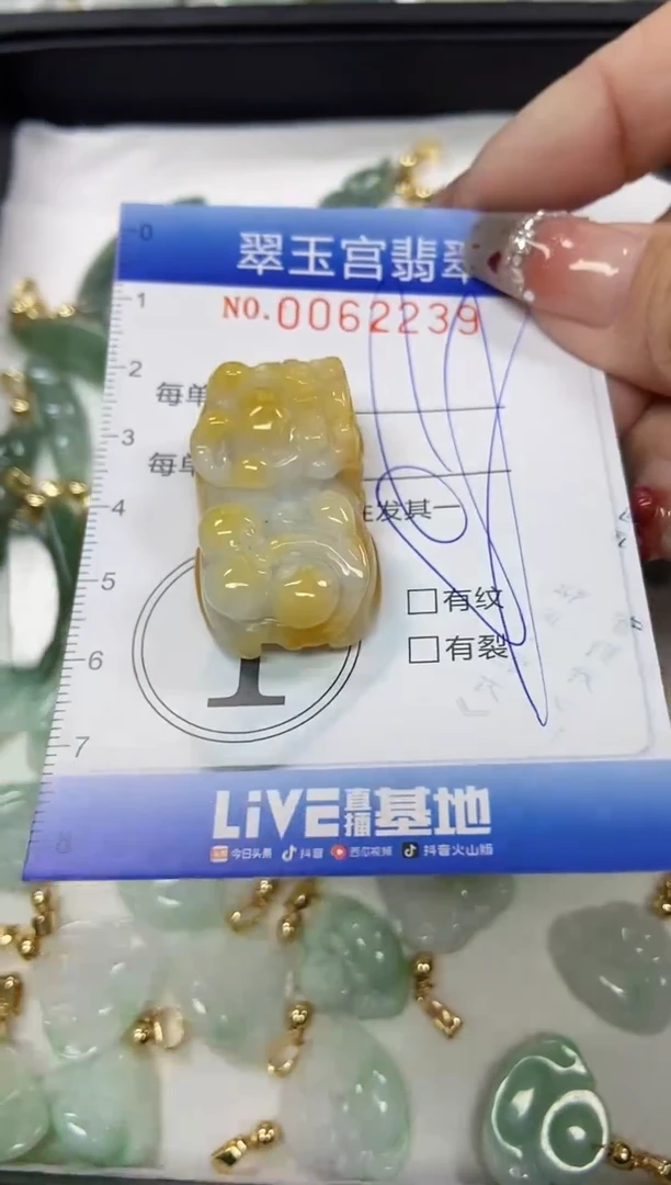 【闪购商品】翡翠颈饰未镶嵌闪购商品0062239