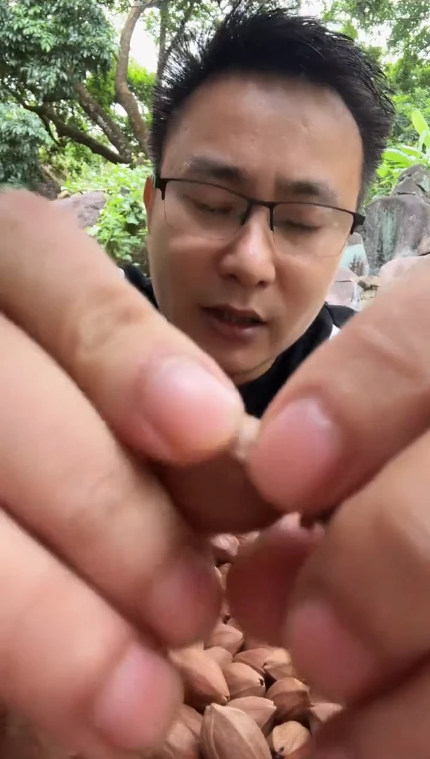 手串橄榄核18+27精品梅林7铁核100