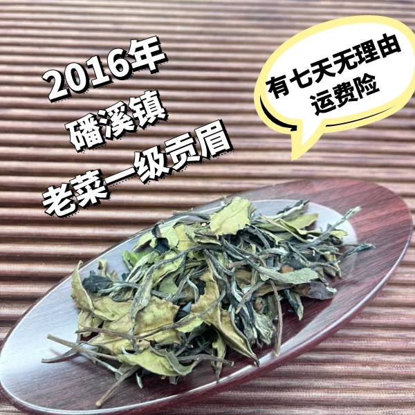 【老白福鼎白茶】2016磻溪老菜一级贡眉