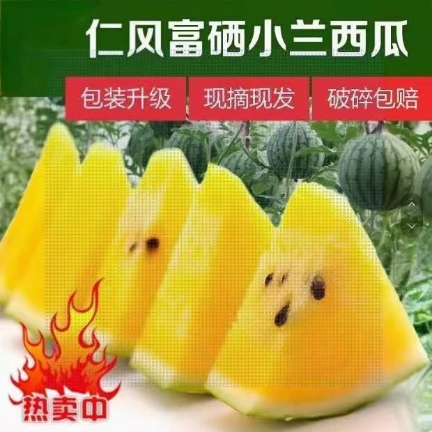 仁风富硒西瓜黄瓤脆甜孕妇冰激凌自然成熟现摘鲜发当季水果